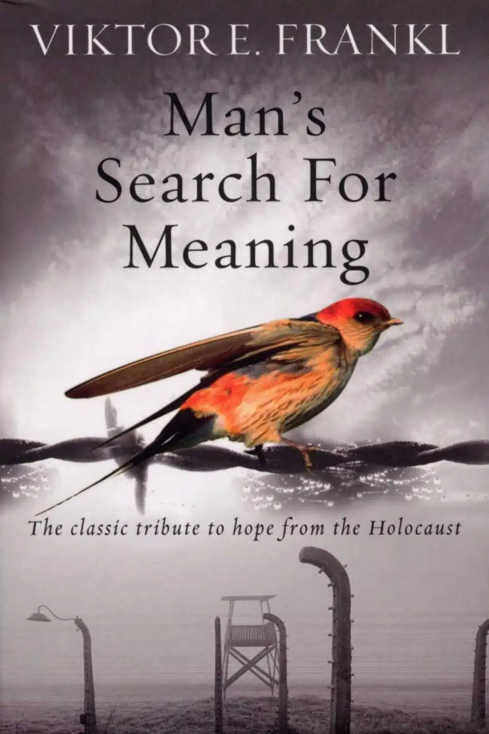 Man's search for meaning