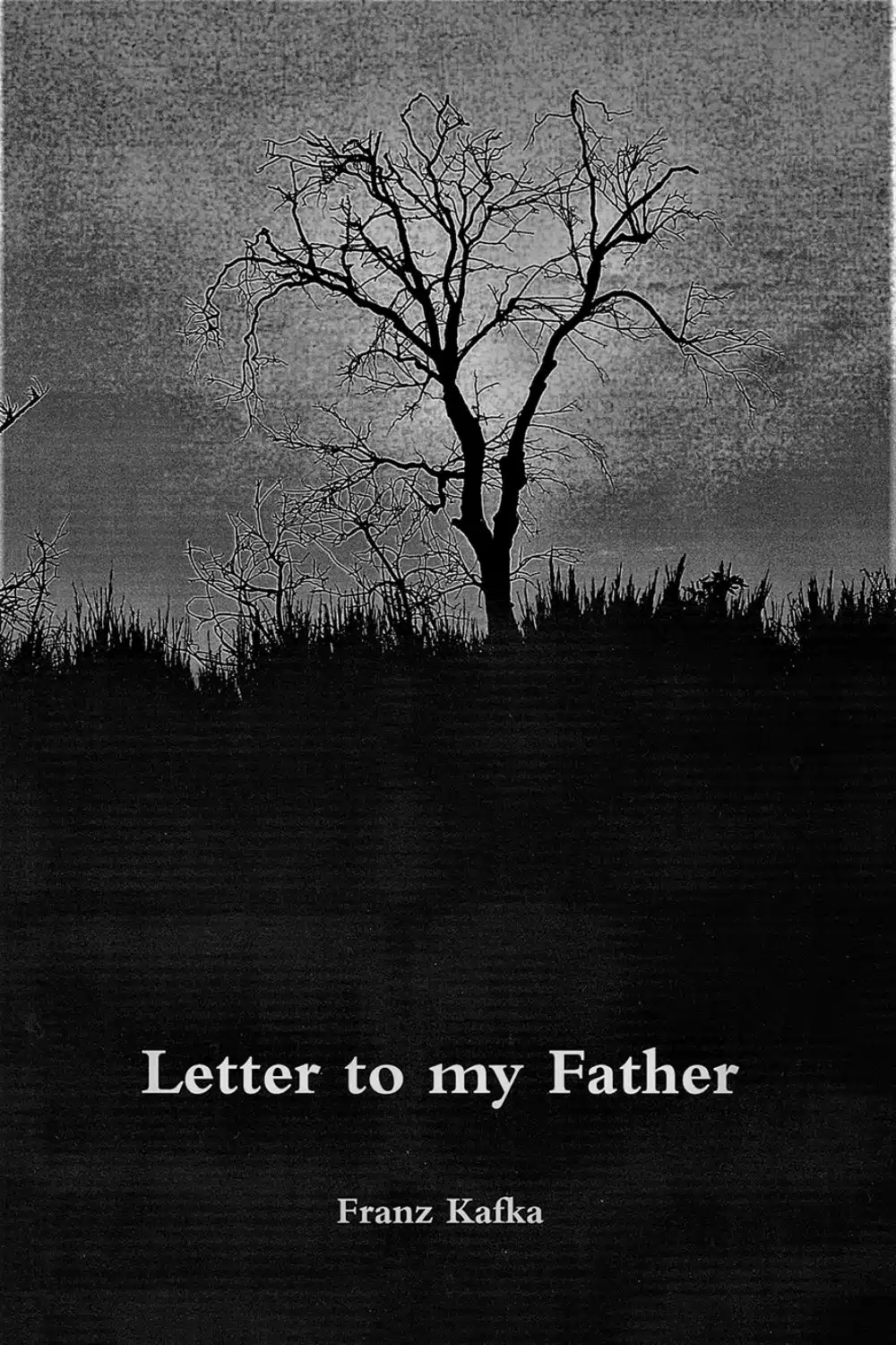 Best Books On Father-Son Relationship (Letter to my father)
