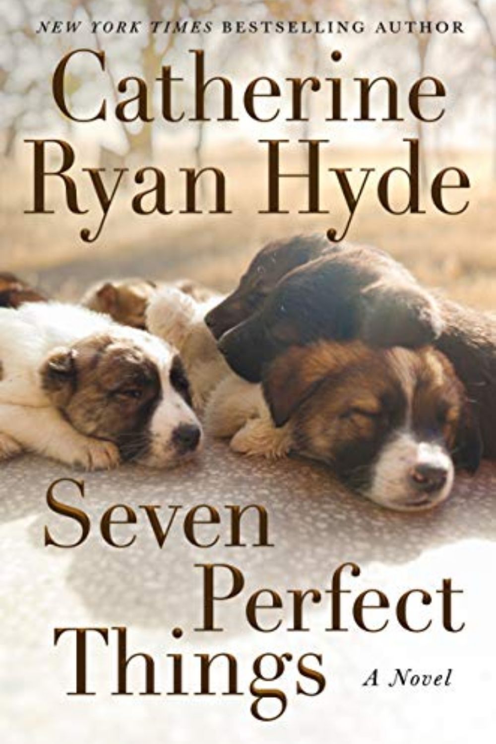 Seven Perfect Things By Catherine Ryan Hyde | An Awesome Story About Abusive Relationships, Grief, Courage, Hope And Puppies