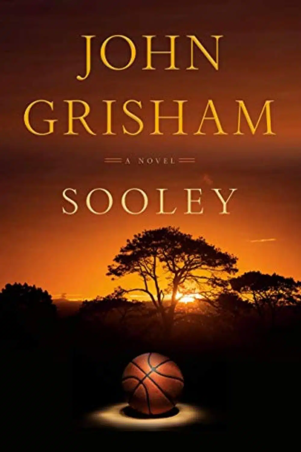 Sooley By John Grisham | Not Only Entertaining It Is Also a Thinker