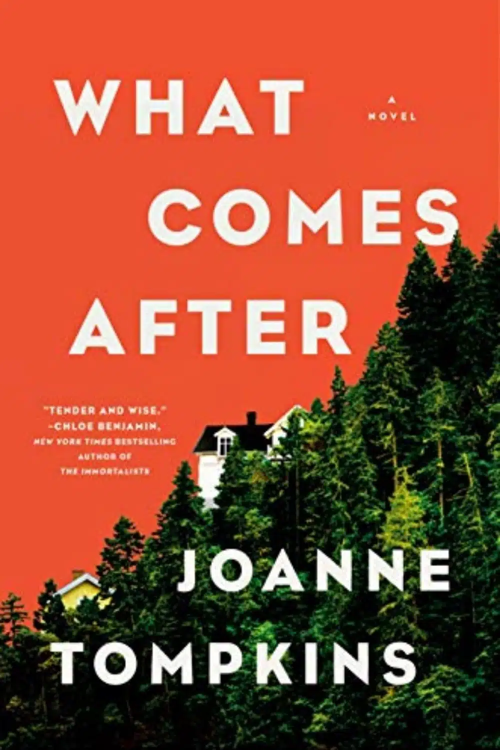 What Comes After By JoAnne Tompkins