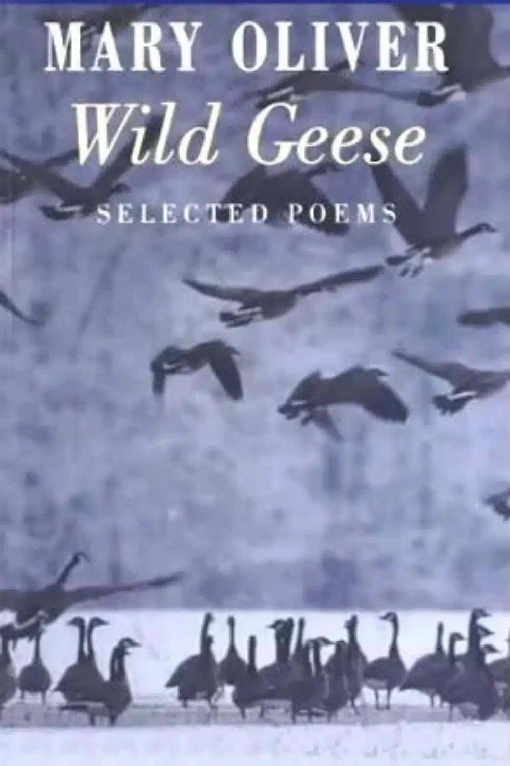 10 Books That Will Remind You That Life Is Amazing