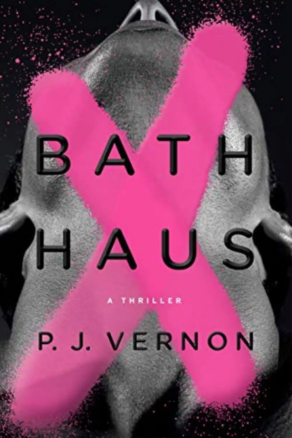 Bath Haus by P.J. Vernon is a captivating read for sure.