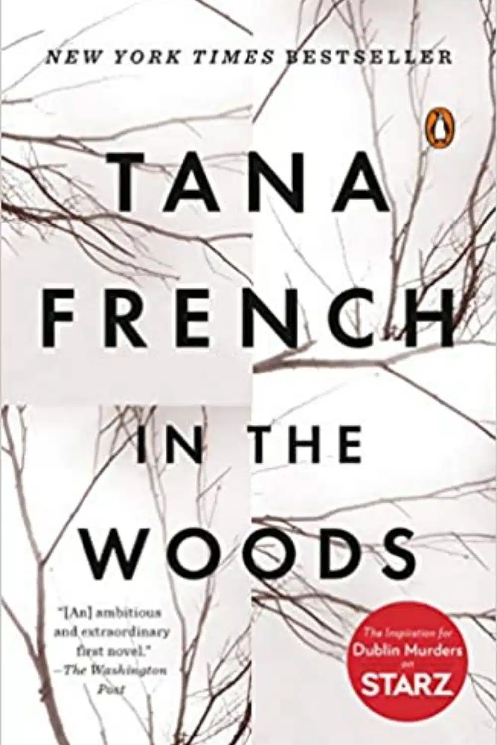 Mystery Books That Revolves Around Memory Loss (In The Woods by Tana French)