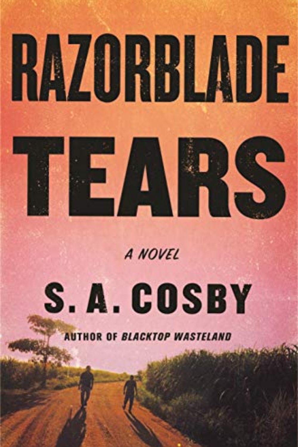 Razorblade Tears de SA Cosby es una novela de ficción policiaca de varios niveles