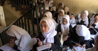 Impact Of Taliban On Women Education In Afghanistan In The Future