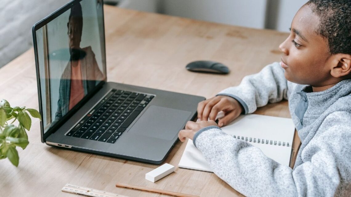 Online Classes Are Good Only For Those Who Want To Learn