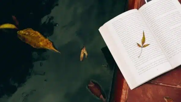 books with multiple POVs are Interesting and engaging?