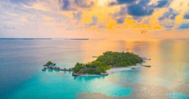 10 Books Set on An Island That You Should Read