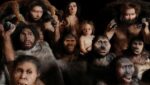 Best Books About Human Evolution You Should Read