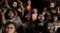 Best Books About Human Evolution You Should Read