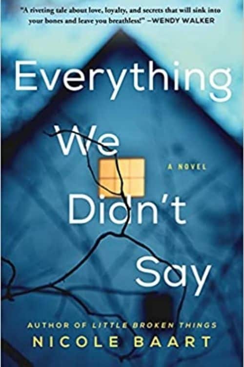 Everything We Didn't Say By Nicole Baart | Book Review and Podcast