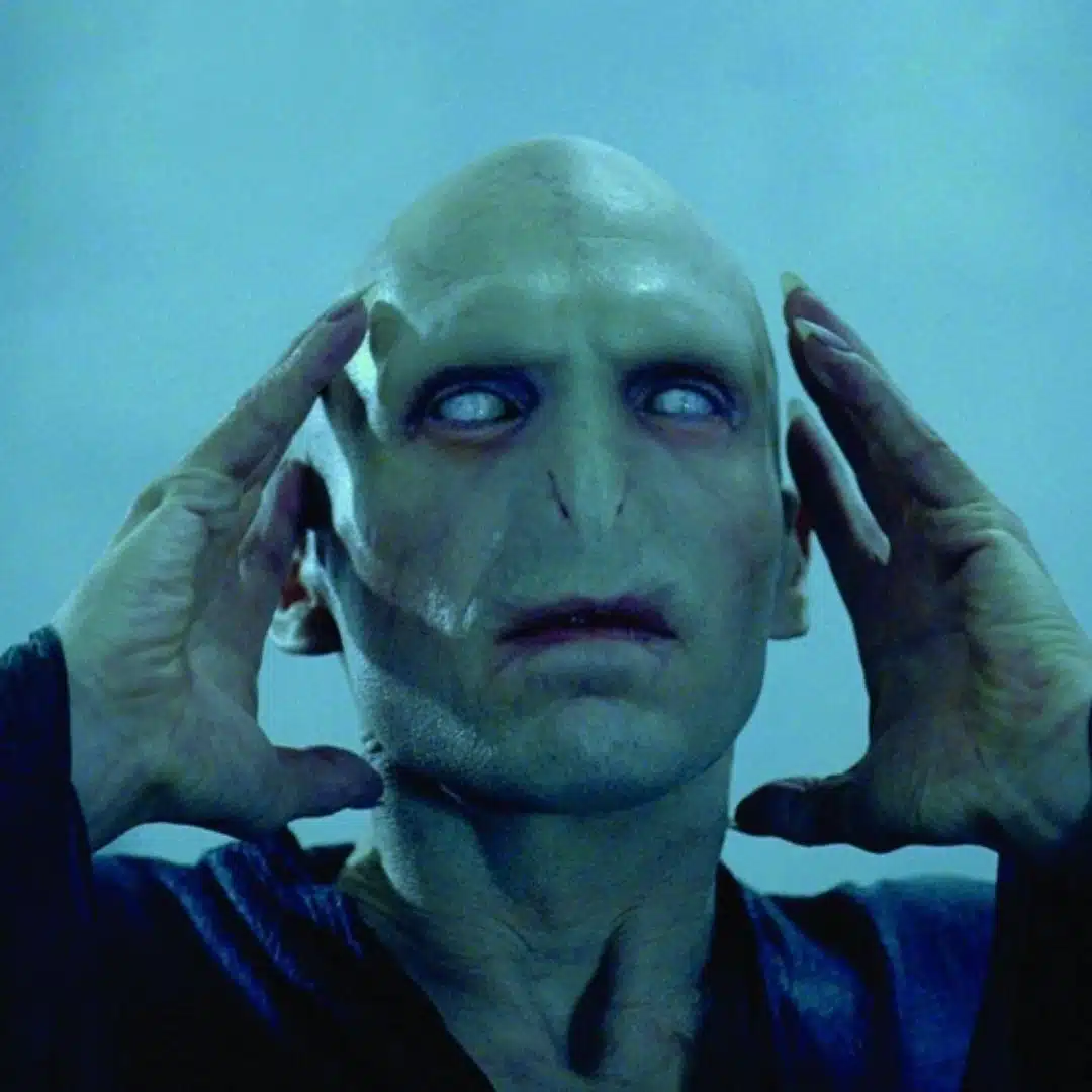 Most Famous Negative Characters From Books - Voldemort