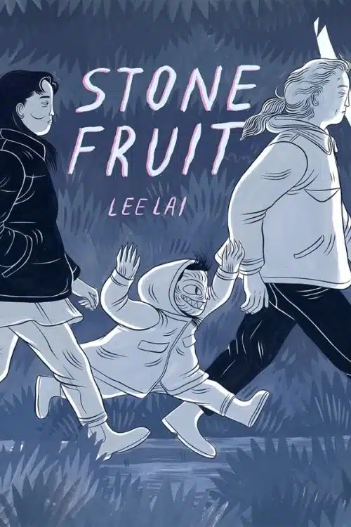 Top 20 Graphic Books in 2021 - Stone Fruit