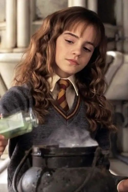 Los magos más poderosos de la serie de Harry Potter (Hermione Granger)