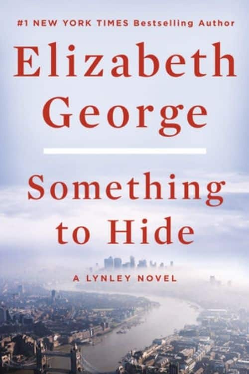 20 Most Anticipated Books of January 2022 - Something to Hide