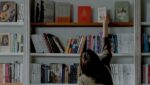 5 Things Every Book Lover Does Things Bookworms Can Related To 2