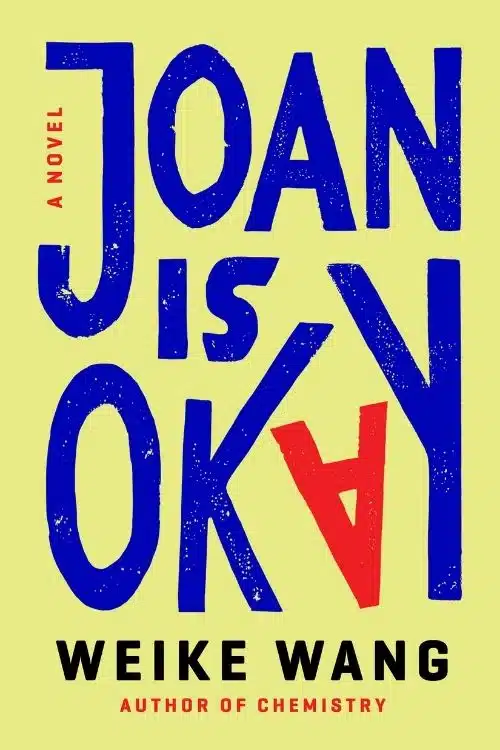20 Most Anticipated Books of January 2022 - Joan is Okay