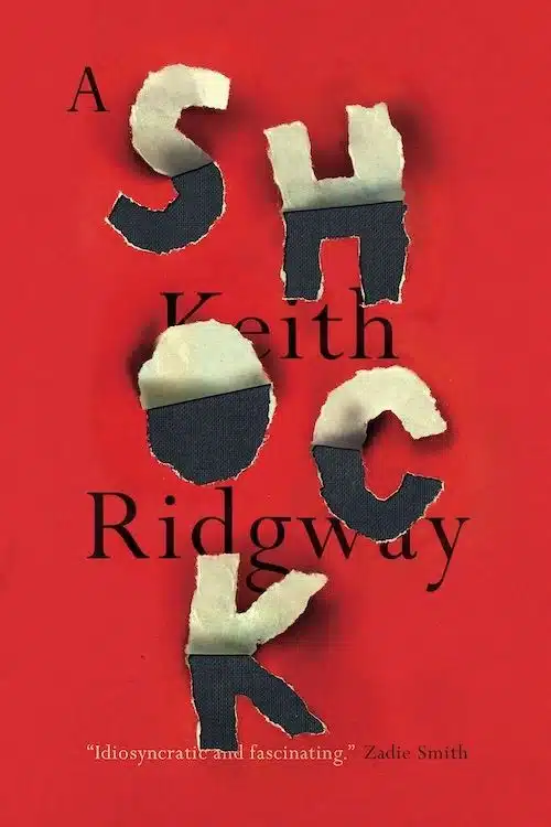 15 Most Beautiful Book Covers of 2021 - A Shock