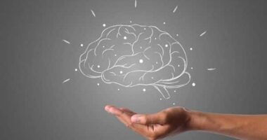 7 Best Books on Critical thinking