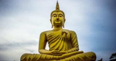 10 Best Books about Buddhism | 10 Buddhist Books Everyone Should Read