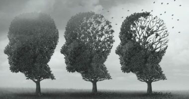 7 Most Popular Books about Amnesia