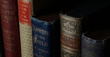 why you should definitely invest in reading historical fiction