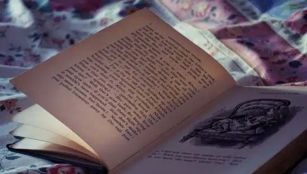 Why Stories Are Important to Our Lives and Culture?