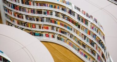 Why You Should Organize Bookshelves Every Once A While