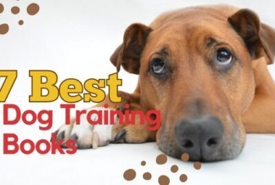7 Best Dog Training Books for every Kind of Dog