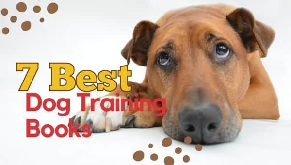 7 Best Dog Training Books for every Kind of Dog