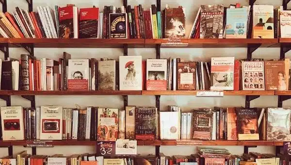 Tips To Spice Up Your Reading Space