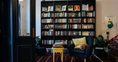 Tips To Spice Up Your Reading Space