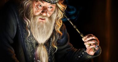 5 Life Lessons From Albus Dumbledore of Harry Potter