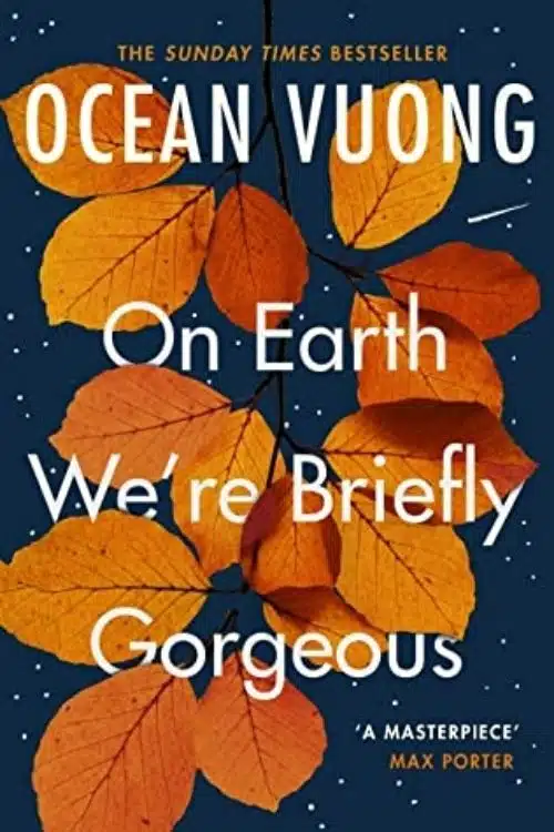 10 Short and Easy to Read Books That will Help Beginners Start Reading - On Earth We’re Briefly Gorgeous by Ocean Vuong