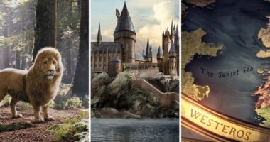 Fictional Worlds Every Book Lover Would Love to Visit