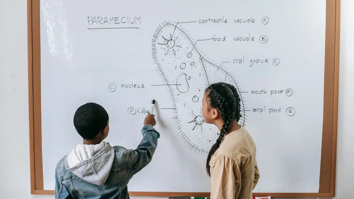 6 Best Memorization Techniques