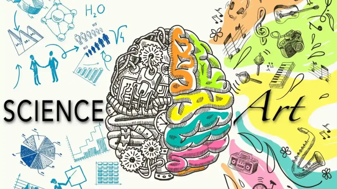 Things Left Brain And Right Brain are Responsible To Do