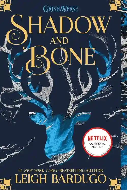 Books Recommended for People Who Liked Divergent - Shadow and Bone by Leigh Bardugo