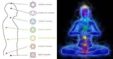 7 Chakras: Your Guide to Understand 7 Chakras