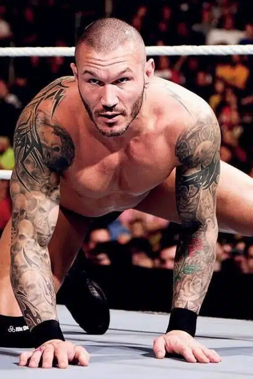 Best Suited Actors for Nagraj’s Role on Big Screen - Randy Orton