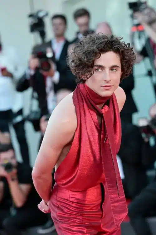 Best Suited Actors for Nagraj’s Role on Big Screen - Timothée Chalamet