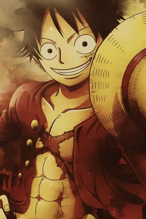 Monkey D. Luffy (One Piece)