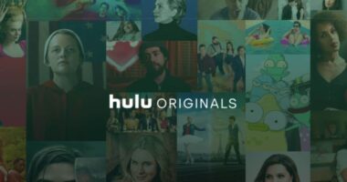 8 Hulu Originals Based on Books