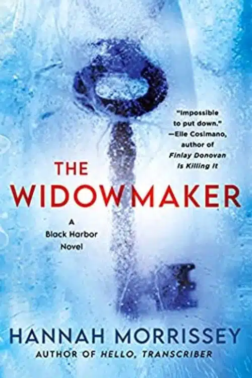 The Widowmaker by Hannah Morrissey (December 6)