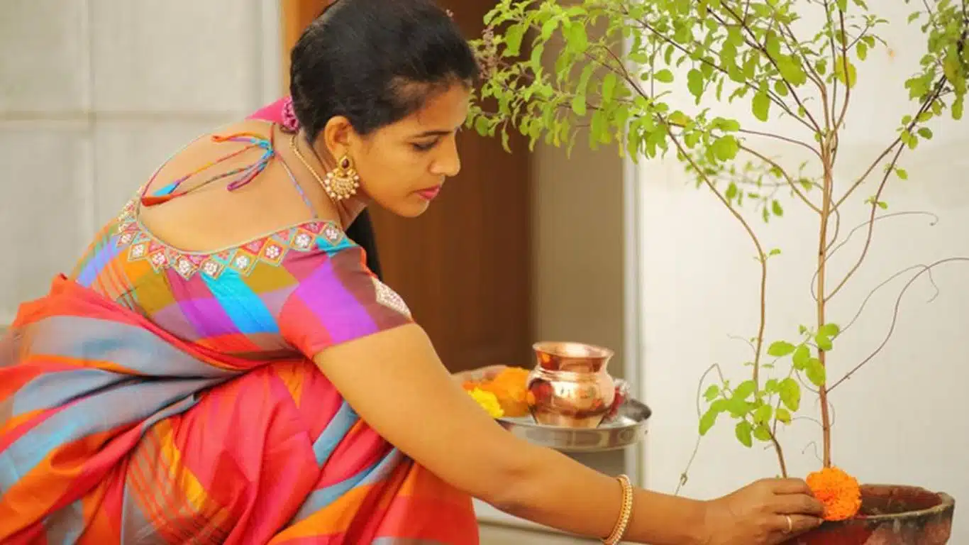 Significance of Tulsi (Holy Basil) in Indian Culture