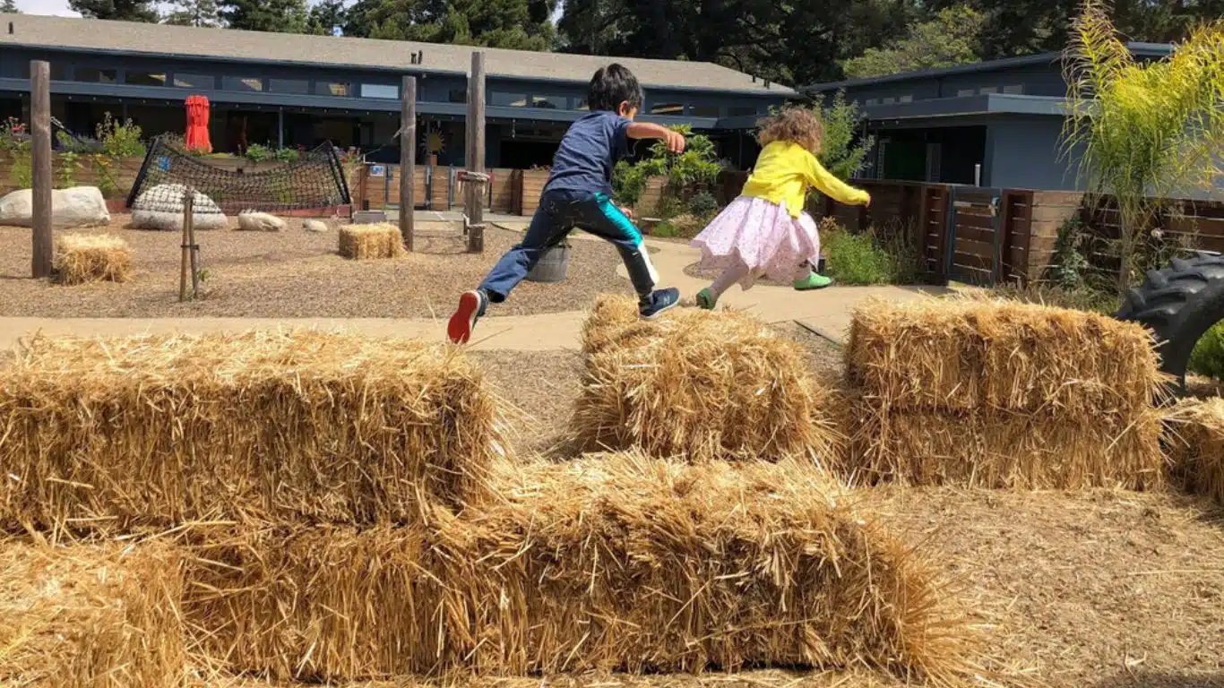 15 Benefits of Physical Education and Outdoor Learning