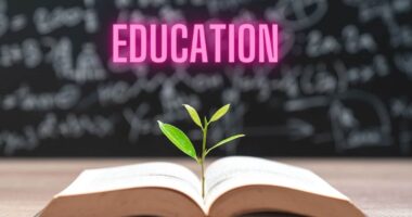 Role of Education in Promoting Social Justice and Equality