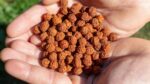 Importance of Rudraksha in Hindu Mythology