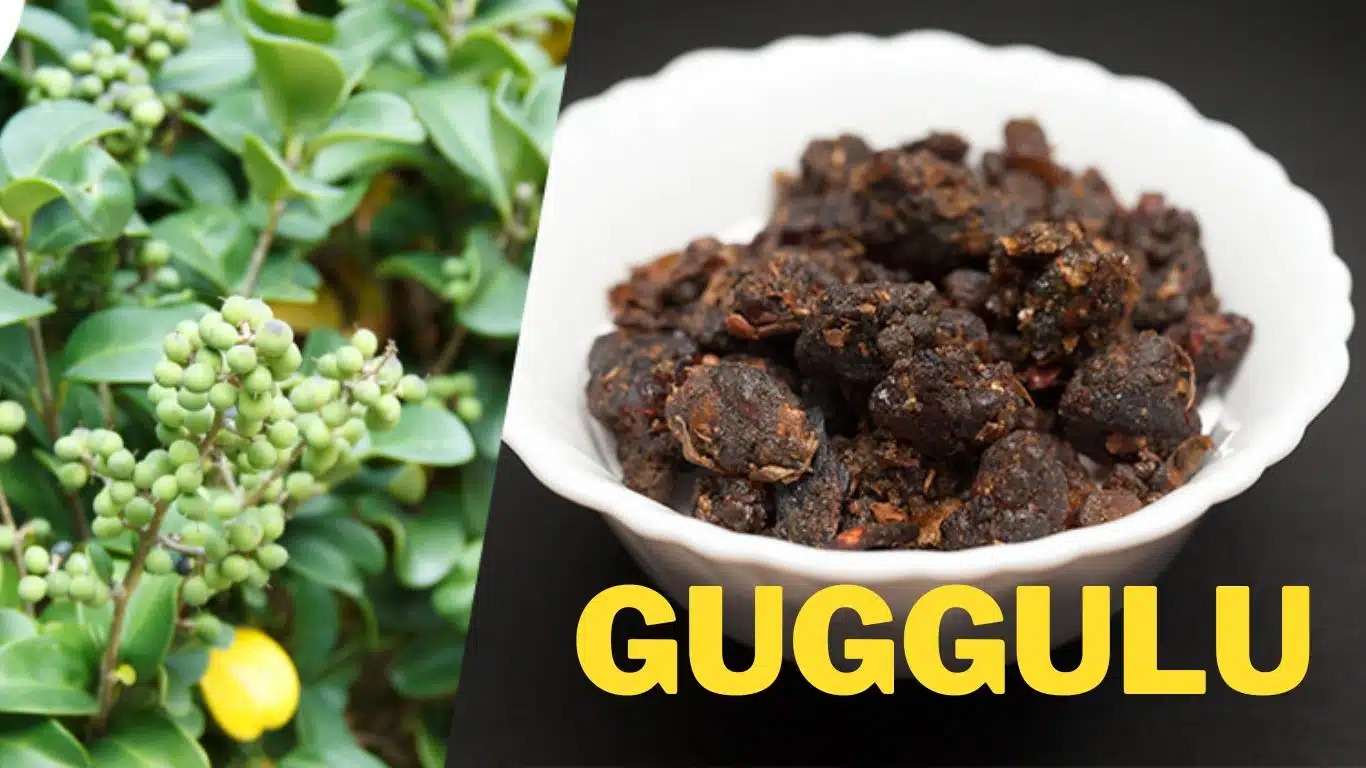 Impact of ayurveda in modern medical science - Integrating herbal remedies